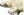 kn4u7a2b