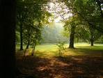 images[60]