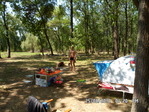 SAM_0485