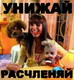 упячка