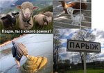 1208118005_63788bd997ad