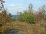 DSCN0442.JPG