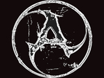 Aqshin in Action
