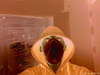 El Panja-0010ee.jpg