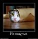 Шаверма