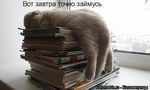 лентяй