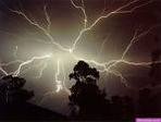 images[15]