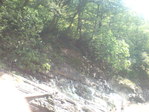 DSC01553