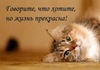 m_8b135a40