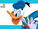 donald duck