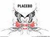 Placebo