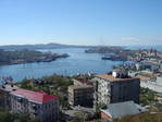 DSC00317.jpg
