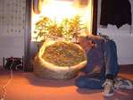 Growdoc420_01.jpg