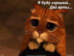 Дасег