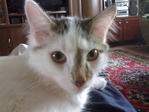 26062010025