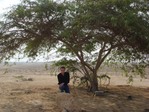 Al Khor