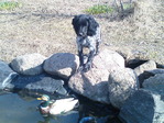 DSC00500