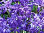 photo_163
