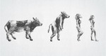 081208-wie_die_Frau_entstand