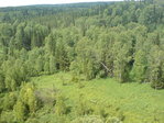 DSC00209