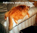 понедельник.........