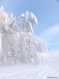 Холодная зима