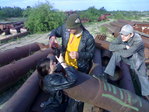 260520081183