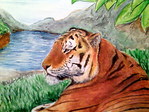 FA-02.1.jpg