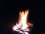 DSC00252
