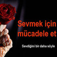 crazyyy1_sevgi
