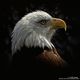 beautigB