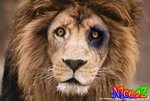 У кого то бакавой очен сильный 