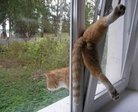ой