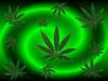 ganja
