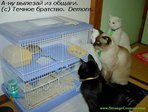 Ah3pqITk0tm9ETWWhGNrRwaOfbyOjXzjV9IxLjioDb4Q