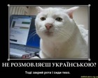 x_e15b874f