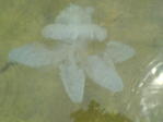 DSC00072.JPG