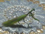 DSC00069
