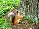 0_17236_407b2dd5_L.jpg