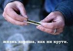 up in smoke (13)