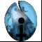 shieldangels