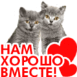Люблю