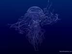 природа
