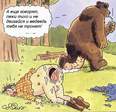medved