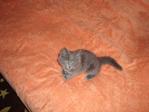 DSC00613