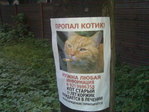 25072007145