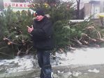 Симпсон