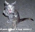 )