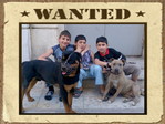 Adil&Orxan&Ismail.jpg