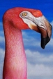 046